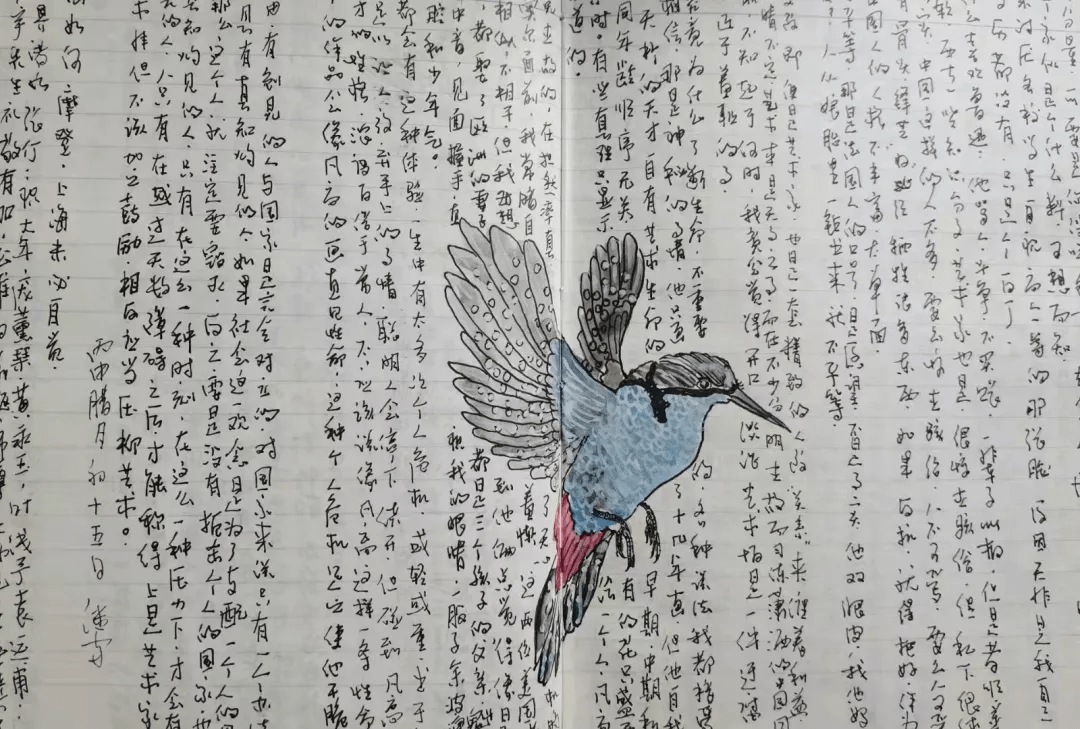 d2e293dba7f64e68b87f2dac209a5560.png