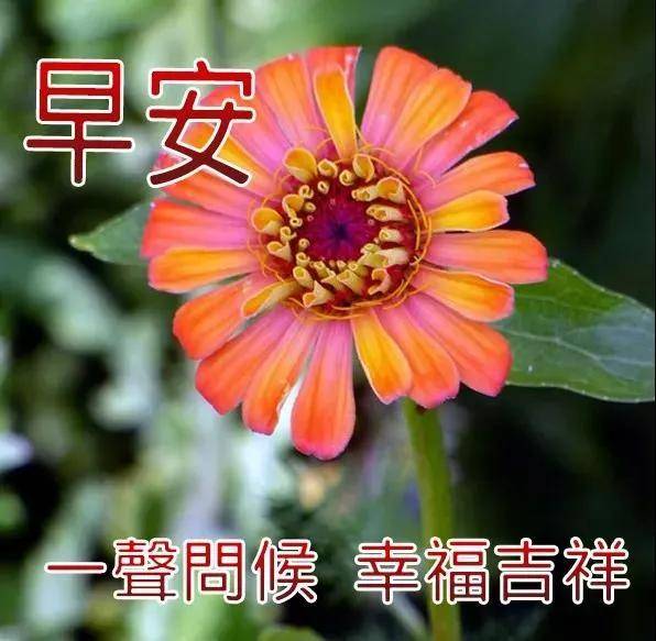 2022早安問候祝福語圖片帶字溫馨_舒爽晨_那就先_呼一聲