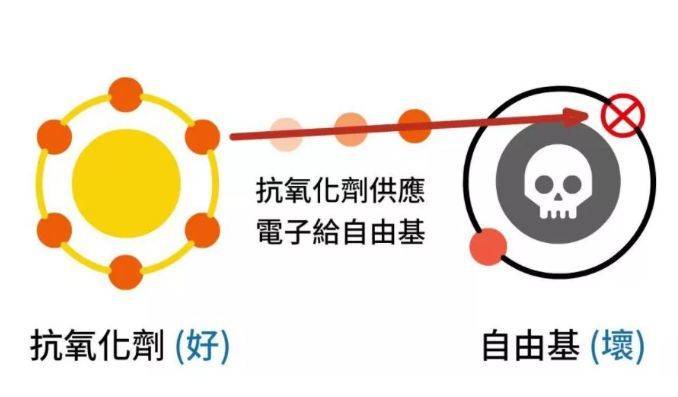 后天那些天生皮肤黑的人，后来是怎么变白的？