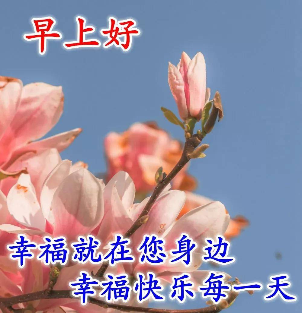c961757ed132487d911da139f747e168.jpeg