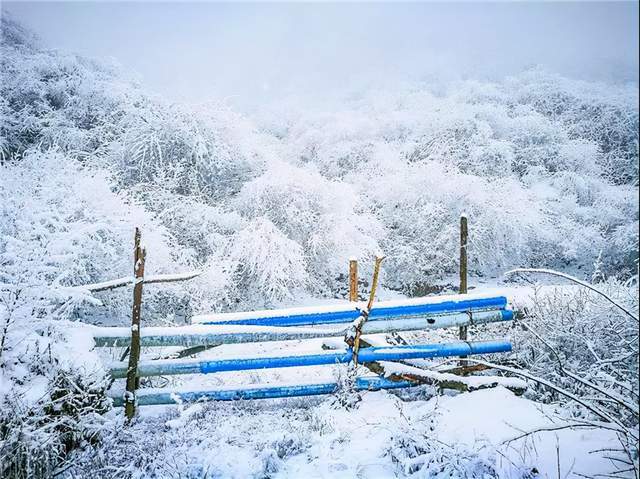  「朱颜山」冬日盛景朱颜山