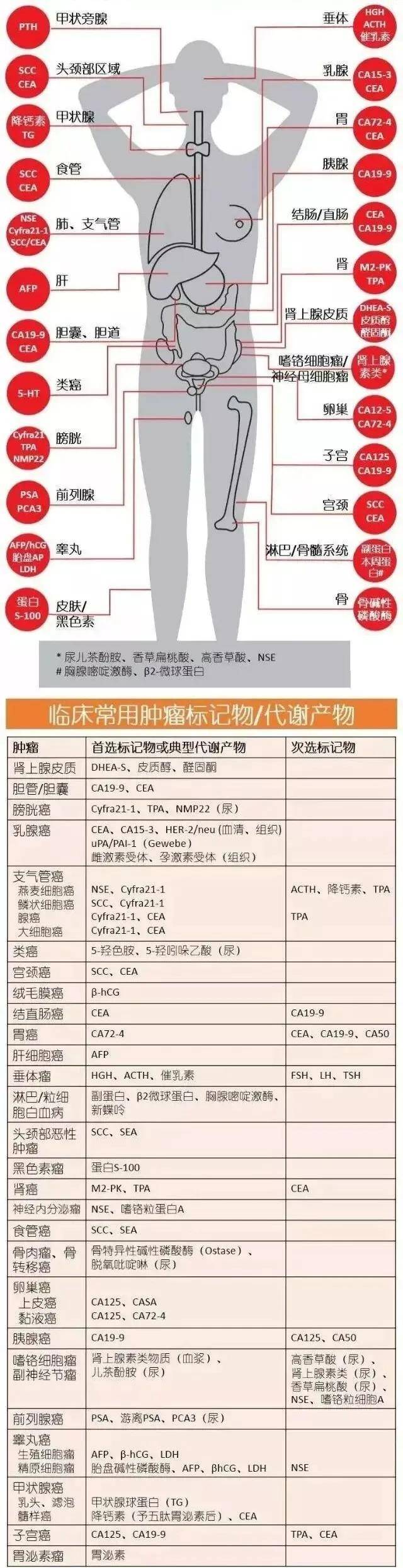 肿瘤标志物详细解读攻略之上篇！建议收藏！