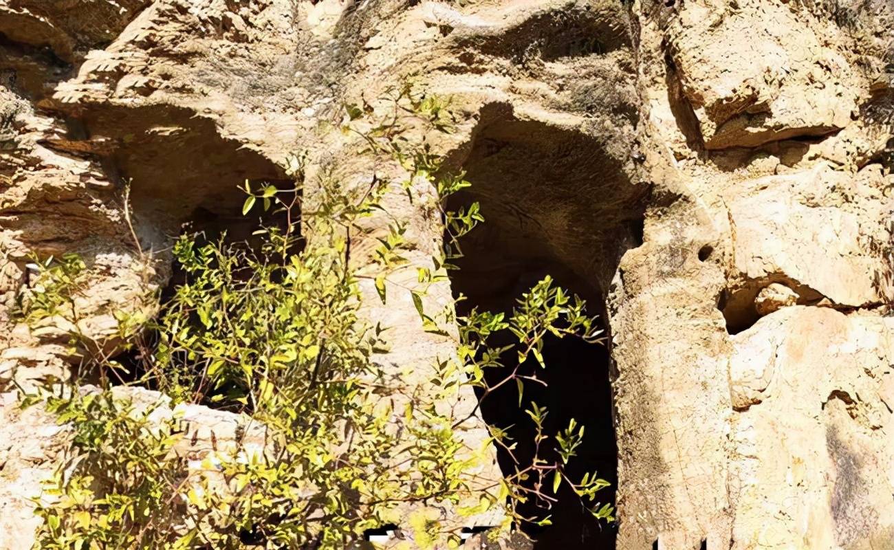 20岁的尼姑在悬崖的一处山洞里，苦修50年，为何一辈子不下山？