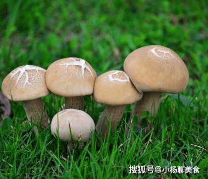 021e816f47a04e92a25d02d70931923f.png