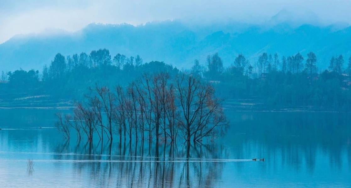 云南改名最成功的湖泊！冬季雾凇玲珑剔透，是鸟界国宝的居住地