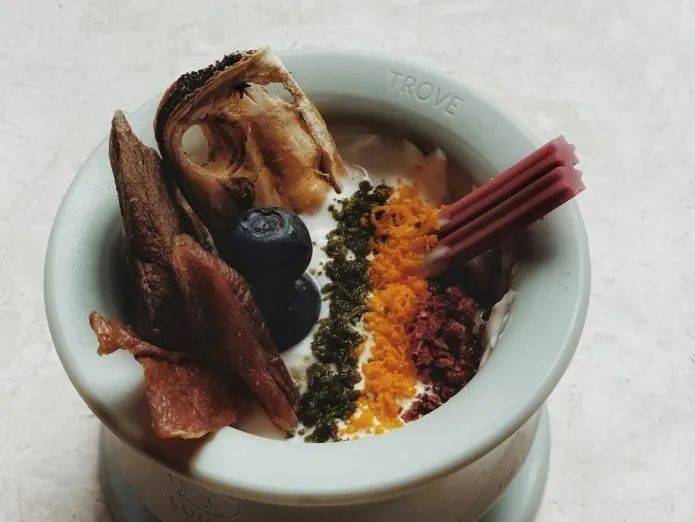 附件|忘情咀嚼，狗狗根本停不下来