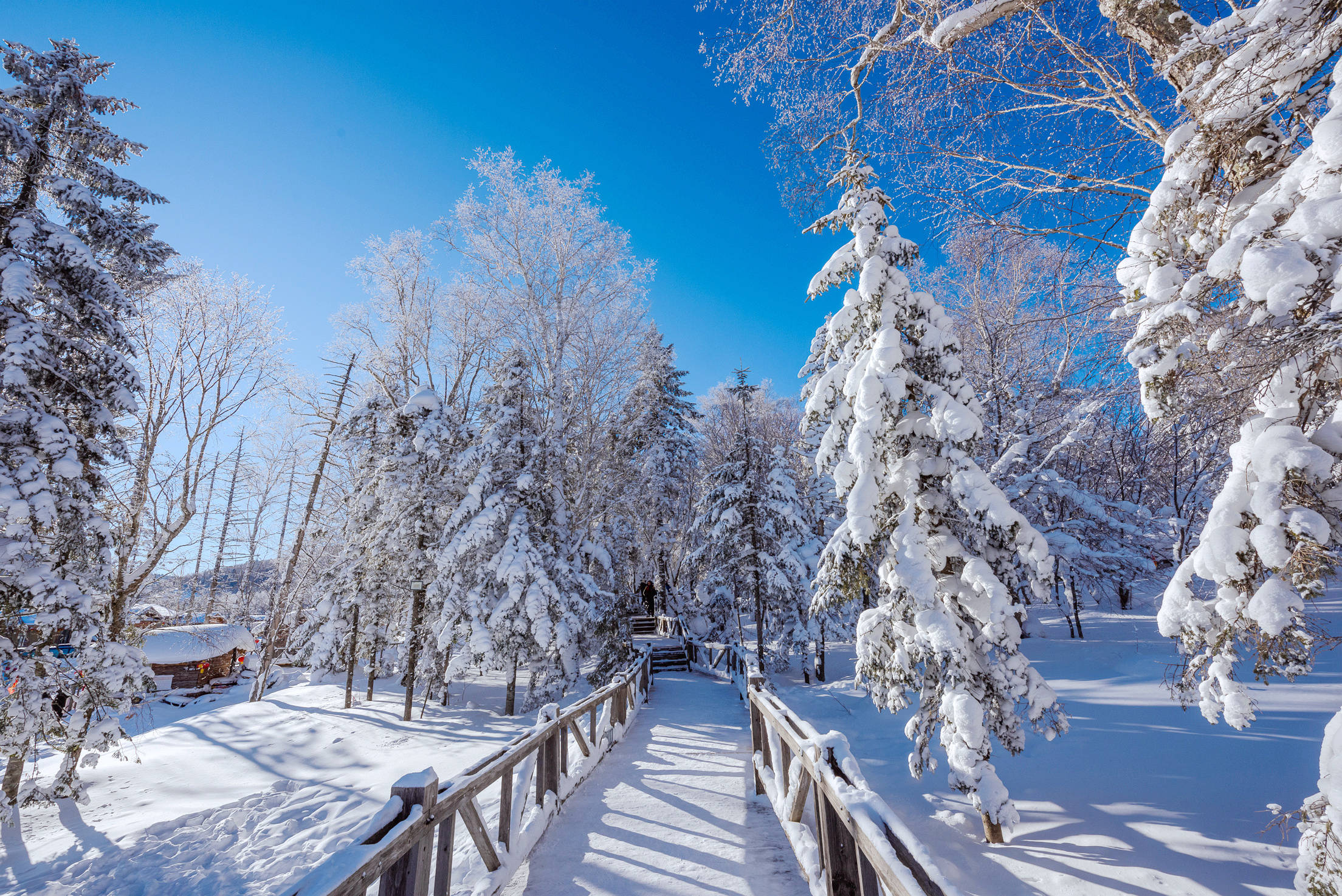 成语万什么雪飘_雪之下雪乃