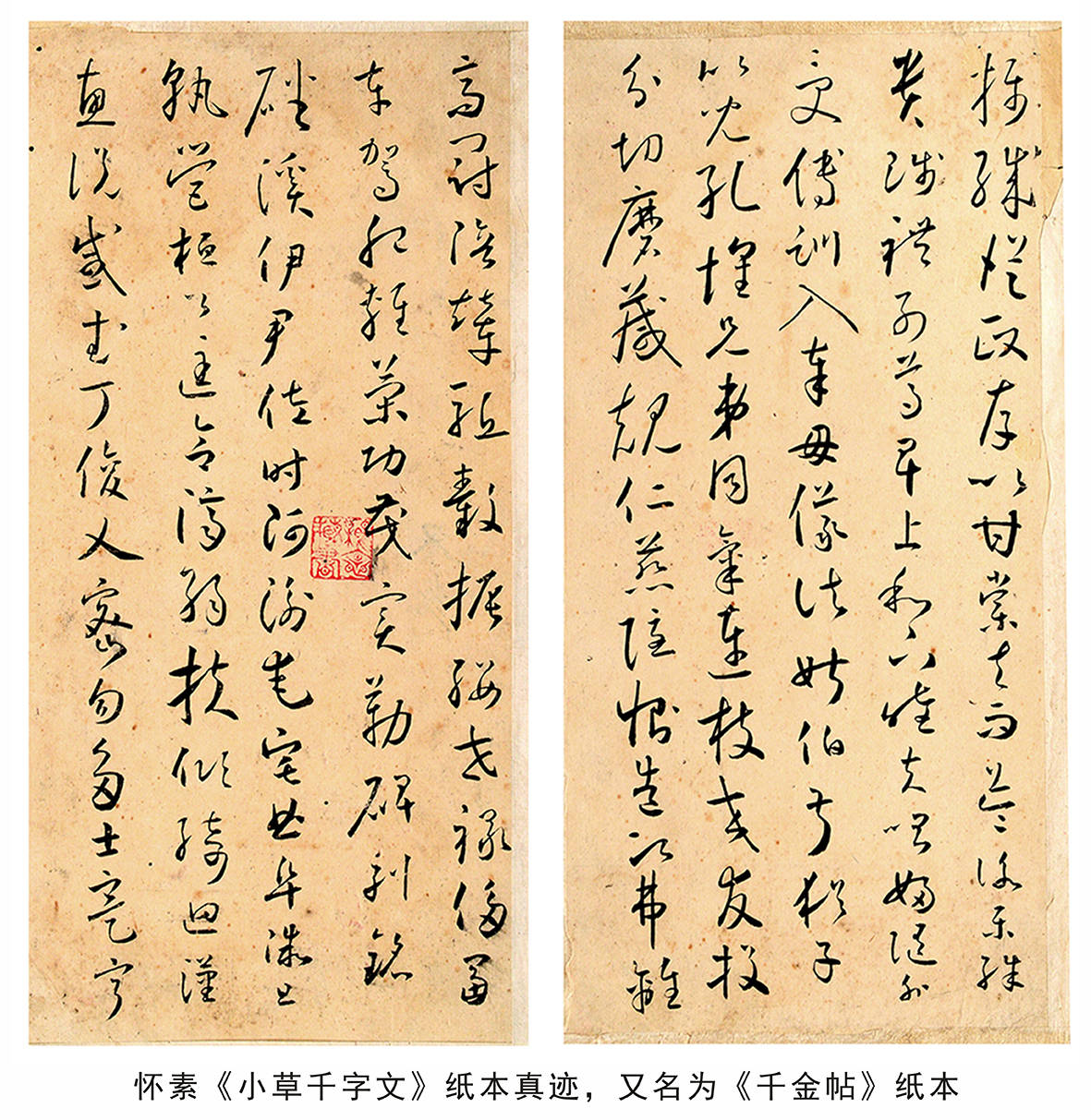 聚焦：怀素《小草千字文》纸本真迹中，窥探“二王”笔法 