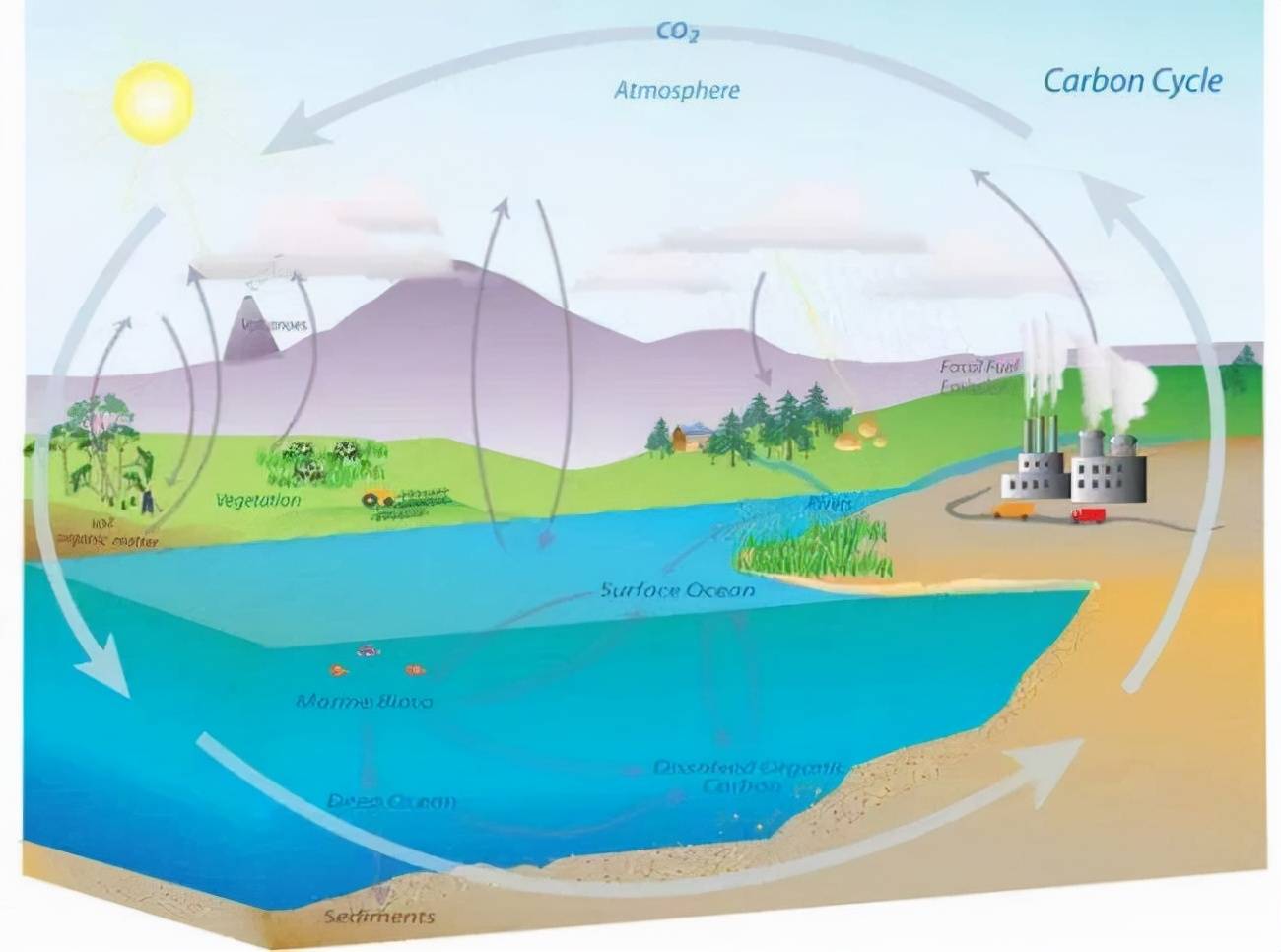 但是别忘了,颗石藻只是浮游植物的一种,其他浮游植物群也可能存在随