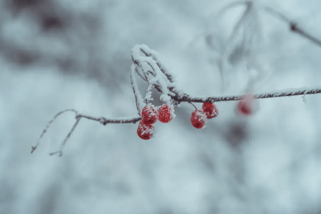 千山|太子岭雪中行，美少女自驾天籁打卡记