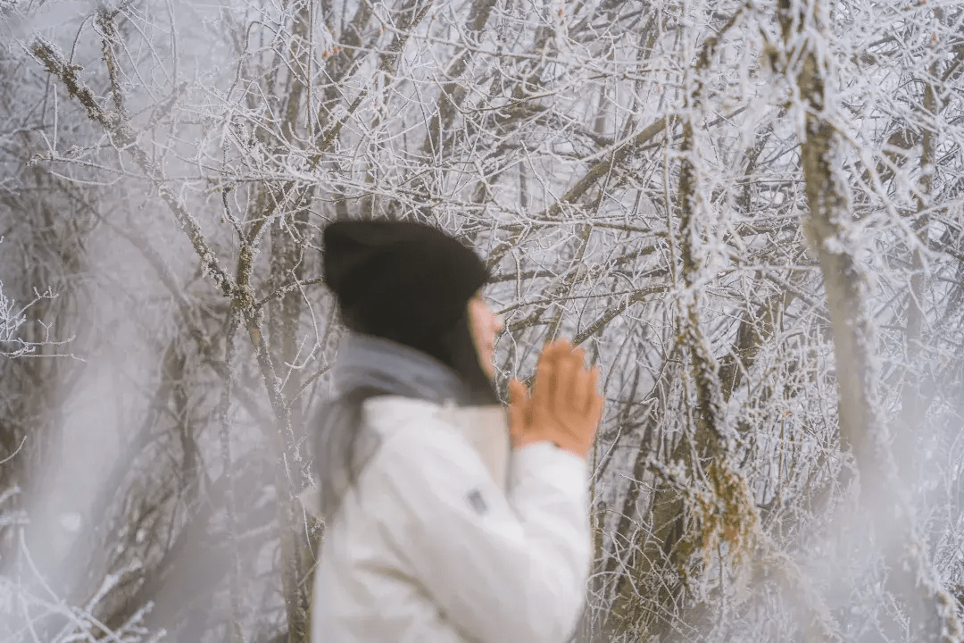 千山|太子岭雪中行，美少女自驾天籁打卡记