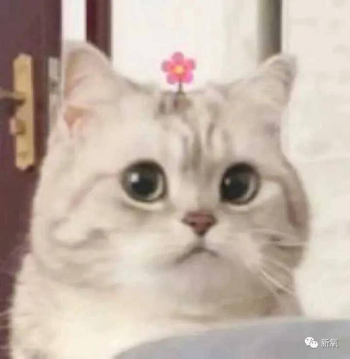 立体感不同的光线，同样的表情和妆容差距有多大？