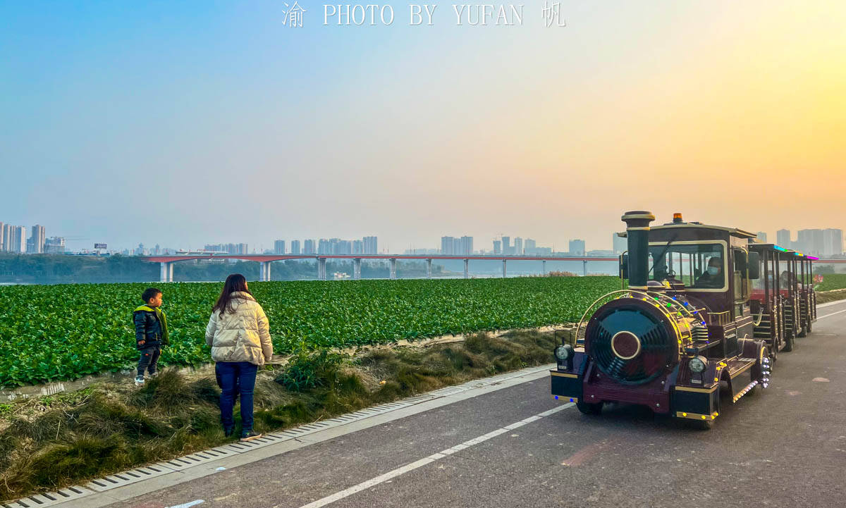 中国|重庆潼南蔬菜公园，中国最接地气的公园，与大佛寺与双江古镇相邻