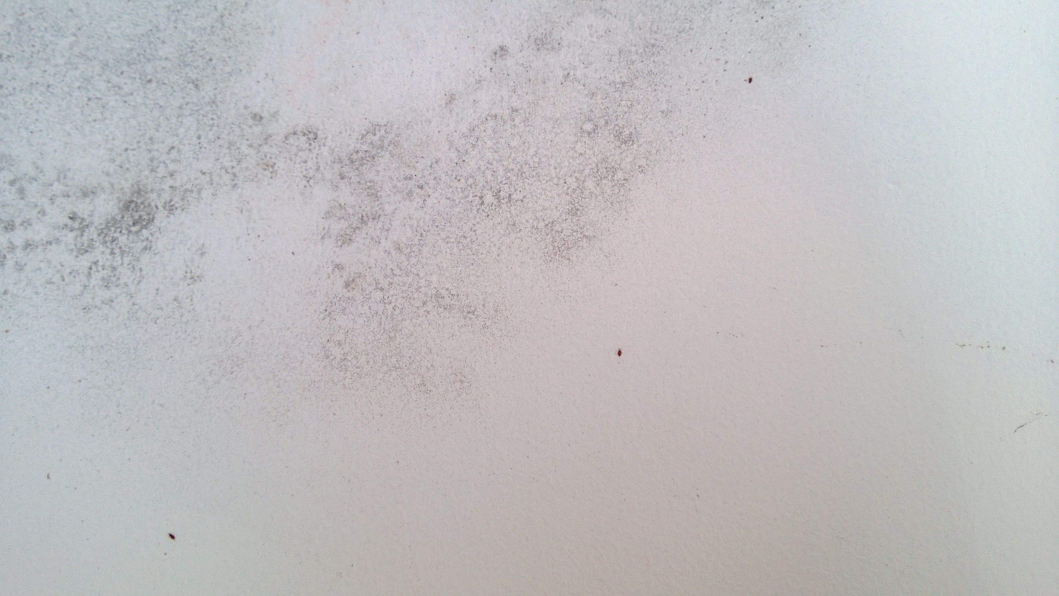 原创家里墙壁发霉发黑保洁阿姨教你正确做法旧墙焕然一新