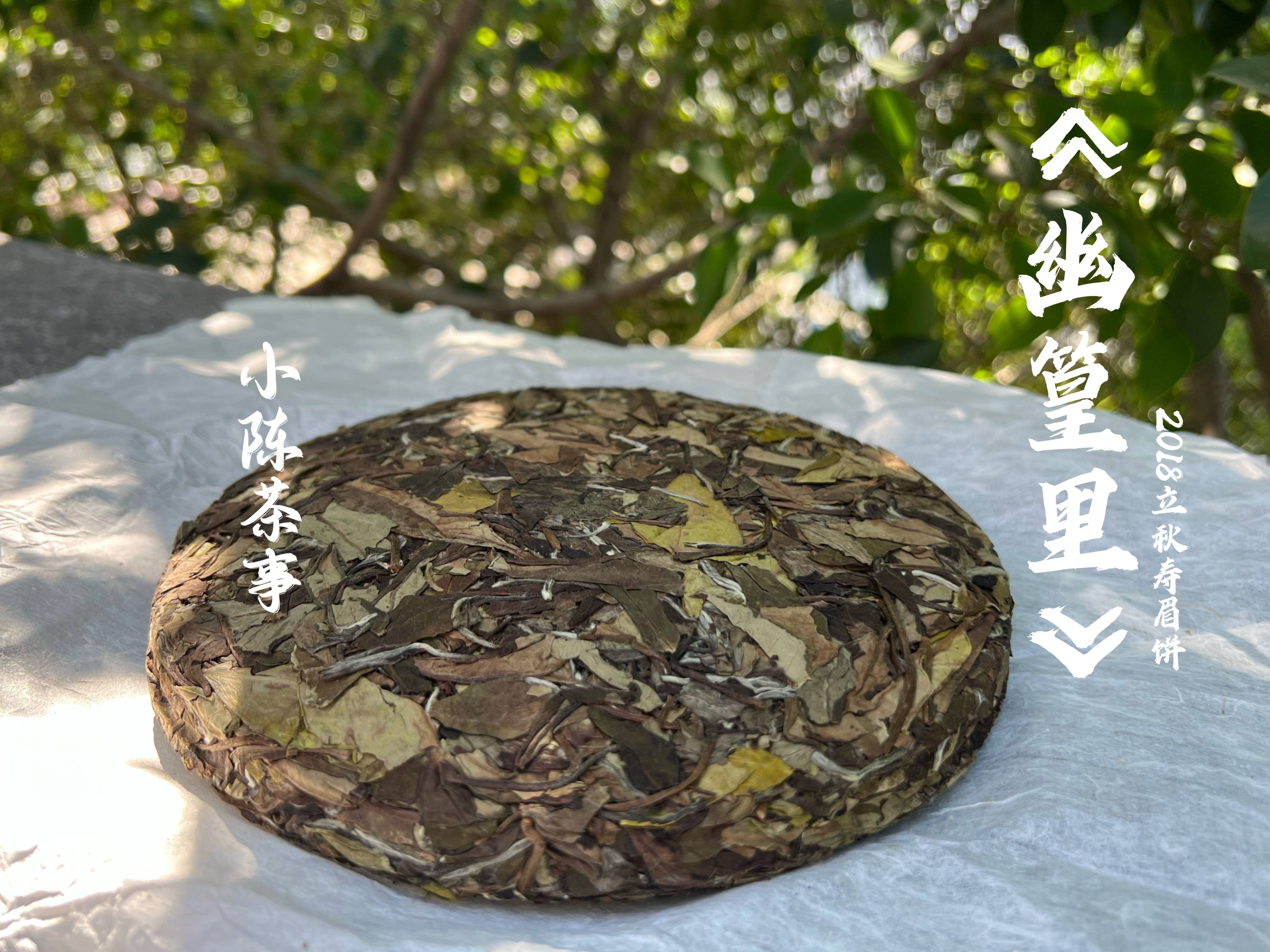 茶叶|从茶器、茶叶到方法，完整的煮白茶指南教给你，真的很简单