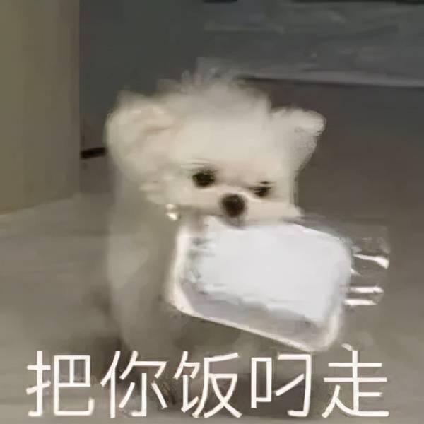 宽度点开户田惠梨香和永野芽郁合拍的海报，忍不住感慨岁月的流逝