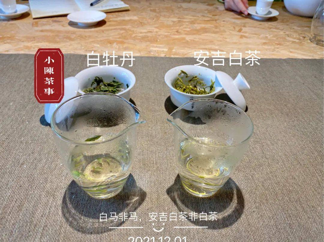 六大|六大茶类，哪些茶要及时喝，哪些茶要长期存？别等过期才后悔