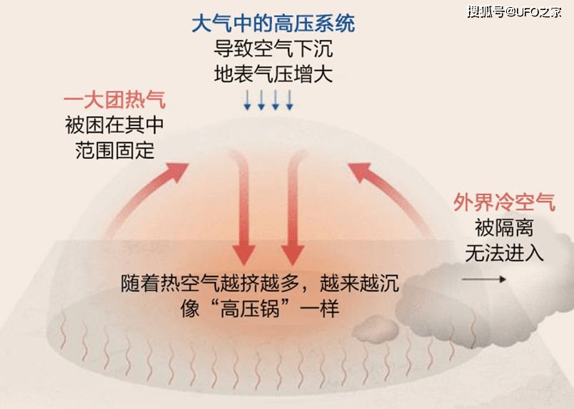 更大的灾难还未降临,2022年究竟咋了?_高温_热浪_桉树林