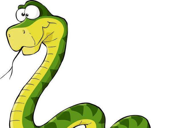 蛇是什么时候进化出来的 0b31461c806e45e589aacd95bc6a0993.jpeg