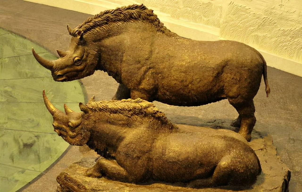 原创远古生物的尸体从冻土层中发现或已有5万年侧面发出危险信号