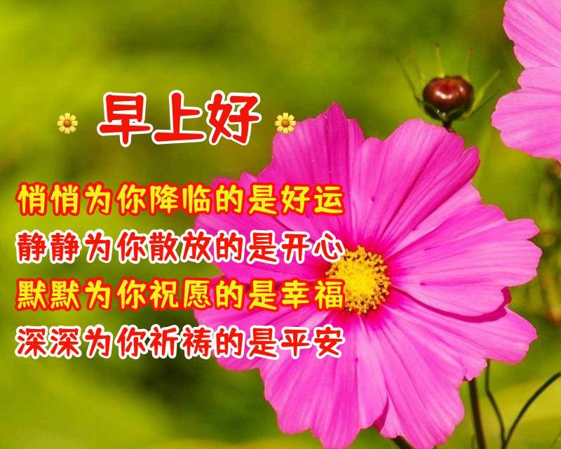 16cb320f783341afb90c46f686a4bb1b.jpeg