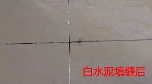 446a6e9211504ea29da04ff9c379b25c.png