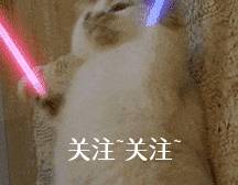 陌生人|最容易“被拐”的6种狗，一只鸡腿就搞定！