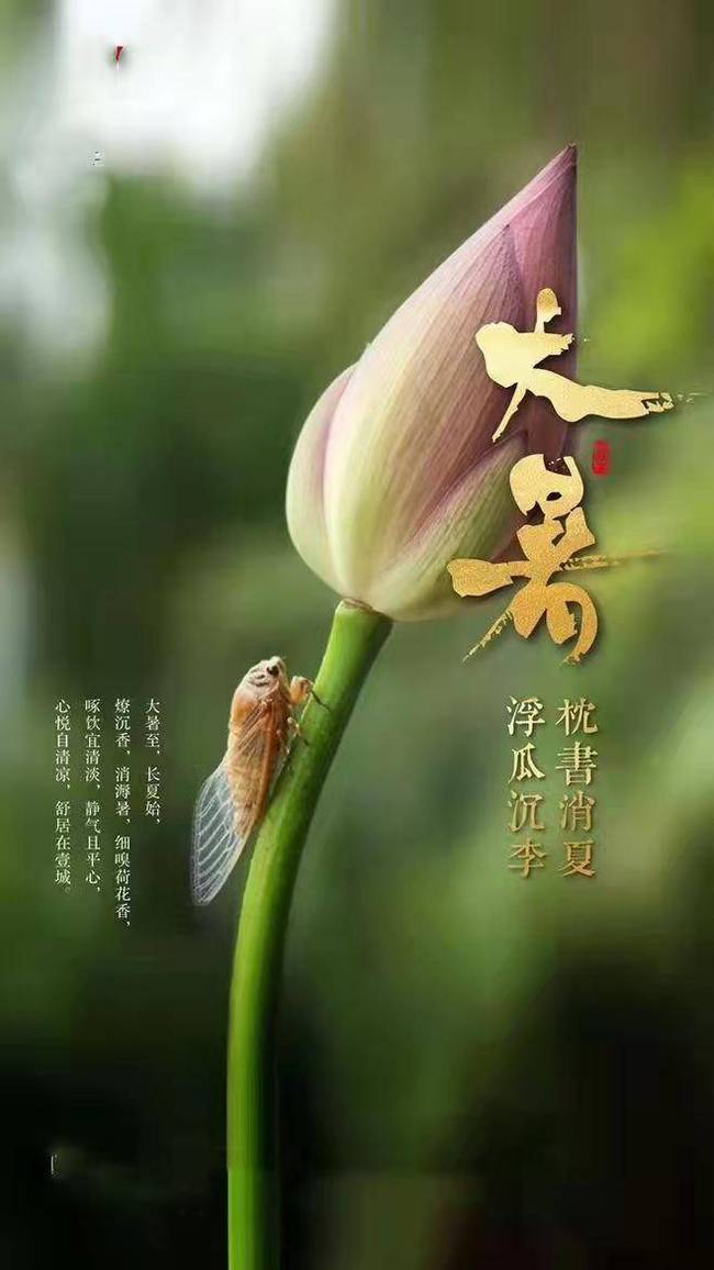 诗词|【任凤荣诗歌】辛丑年诗咏‖二十四节气 （全集）