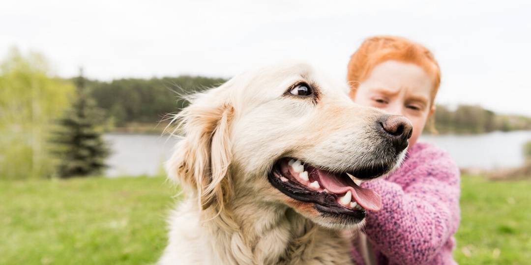 陌生人|最容易“被拐”的6种狗,一只鸡腿就搞定!