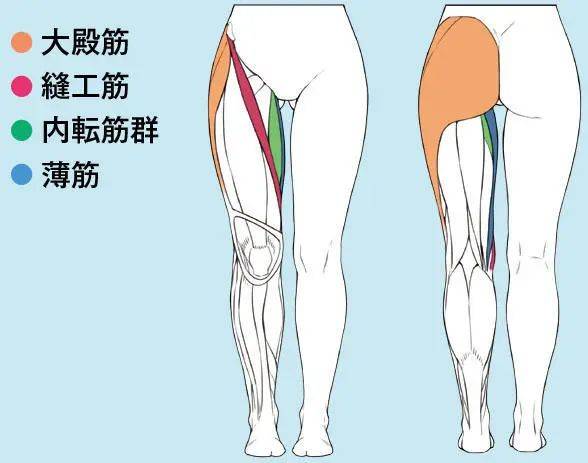 把女人下半身画得很吸引人 下半身 是表现女性气质最重要的部分 臀部 大腿 肌肉