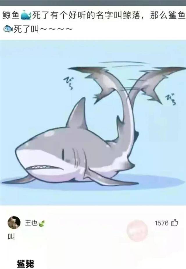 dedd7b27c60647ffa8ec3561b34f2b47.jpeg