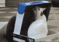 0ac0a175b8b54e5e828a2d8e694b5bd5.gif