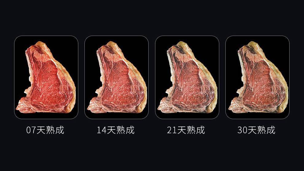 DRY EASY BAISC DH46 牛排熟成柜_干式_肉类_湿度