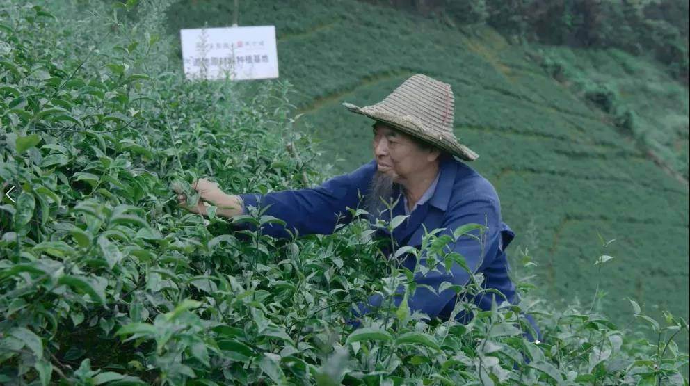 企业|用品质站定立场，无限极产品再现光芒