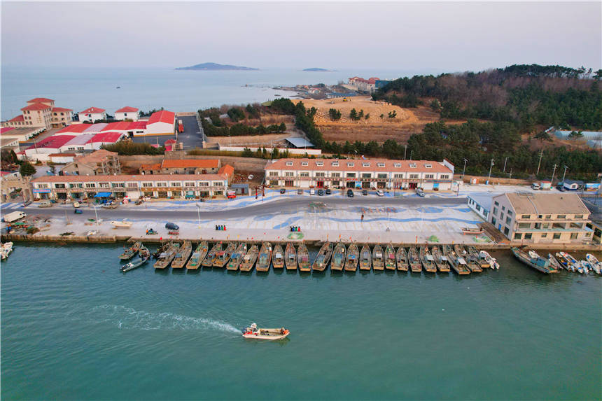 场面|青岛有个网红渔码头，600年历史，晒鱼场面壮观，每年都会上央视