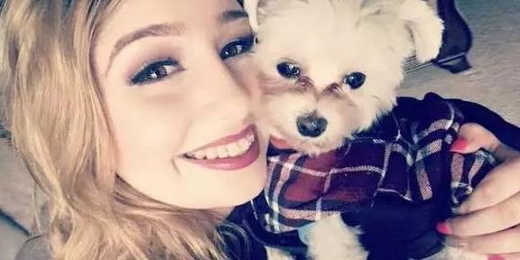 狗狗太喜欢穿衣服 可爱爷爷花两天时间给狗狗做小衣柜萌翻网友 Pluto Lily 父亲