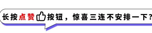 因为柯基“短腿基因”有多强？不论何种犬只混柯基后，都会变成低底盘