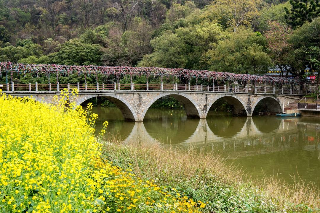 时间段|清远有个唯美的“广东小桂林”，油菜花已经抢闸怒放，真像仙境