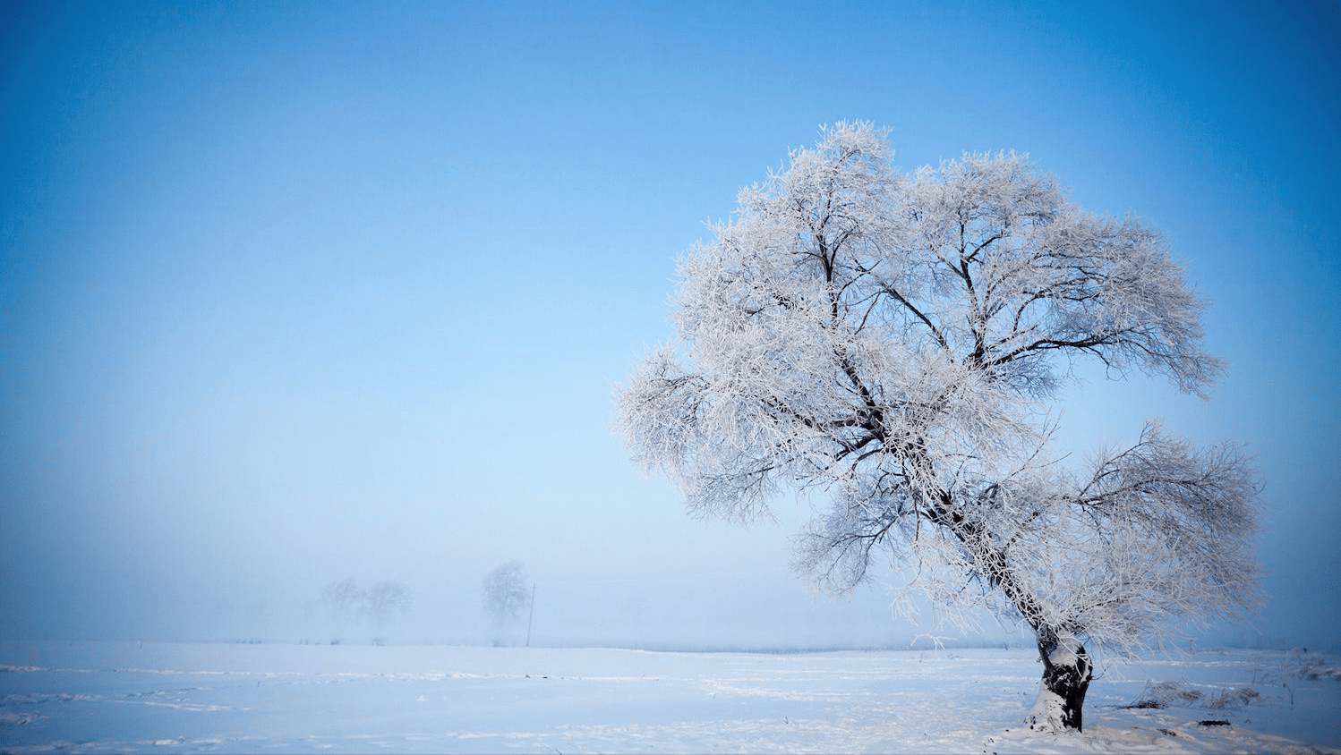 中国雪景图片最美图片
