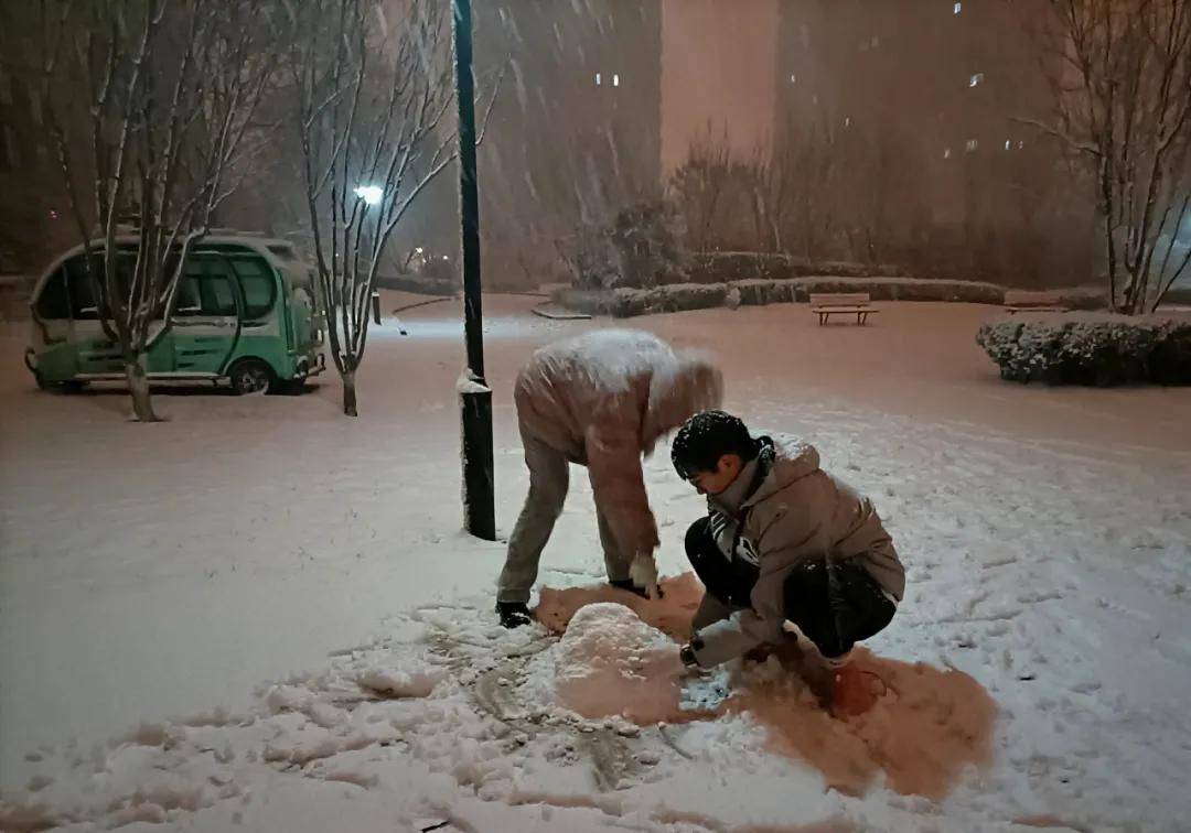 瑞雪|瑞雪踏春迎新年