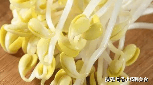 怎样泡豆芽生长得快 bcd382329eaa463196e2260ce0ea4fb7.png