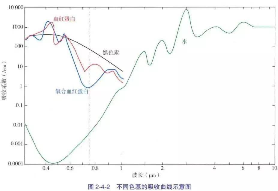 补充如何花1%的力气，在新年变美100倍？