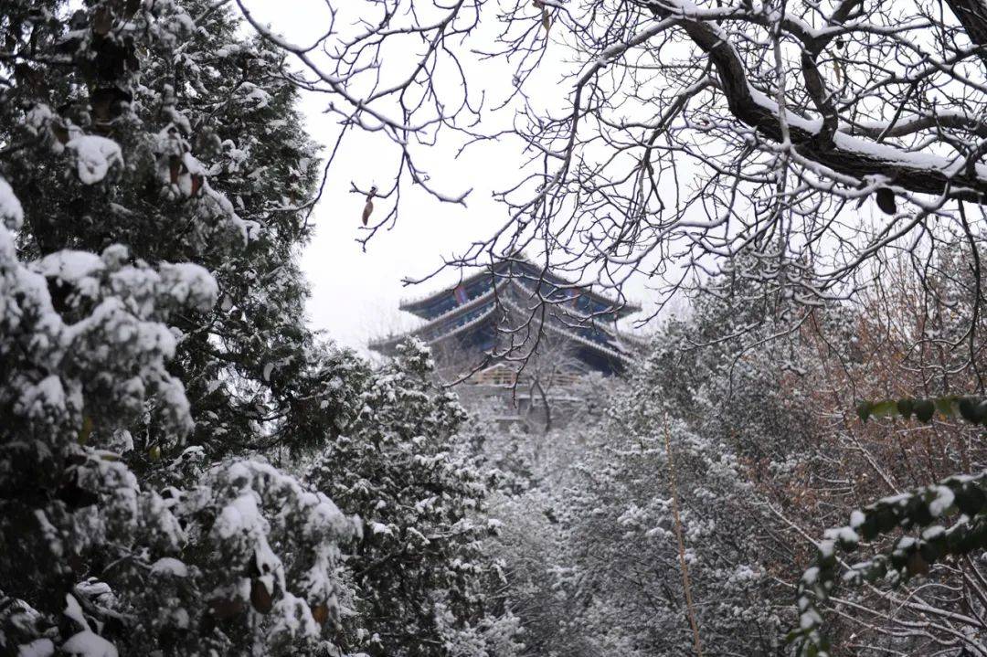 建筑|门票2元的景山 为什么值得天天来玩