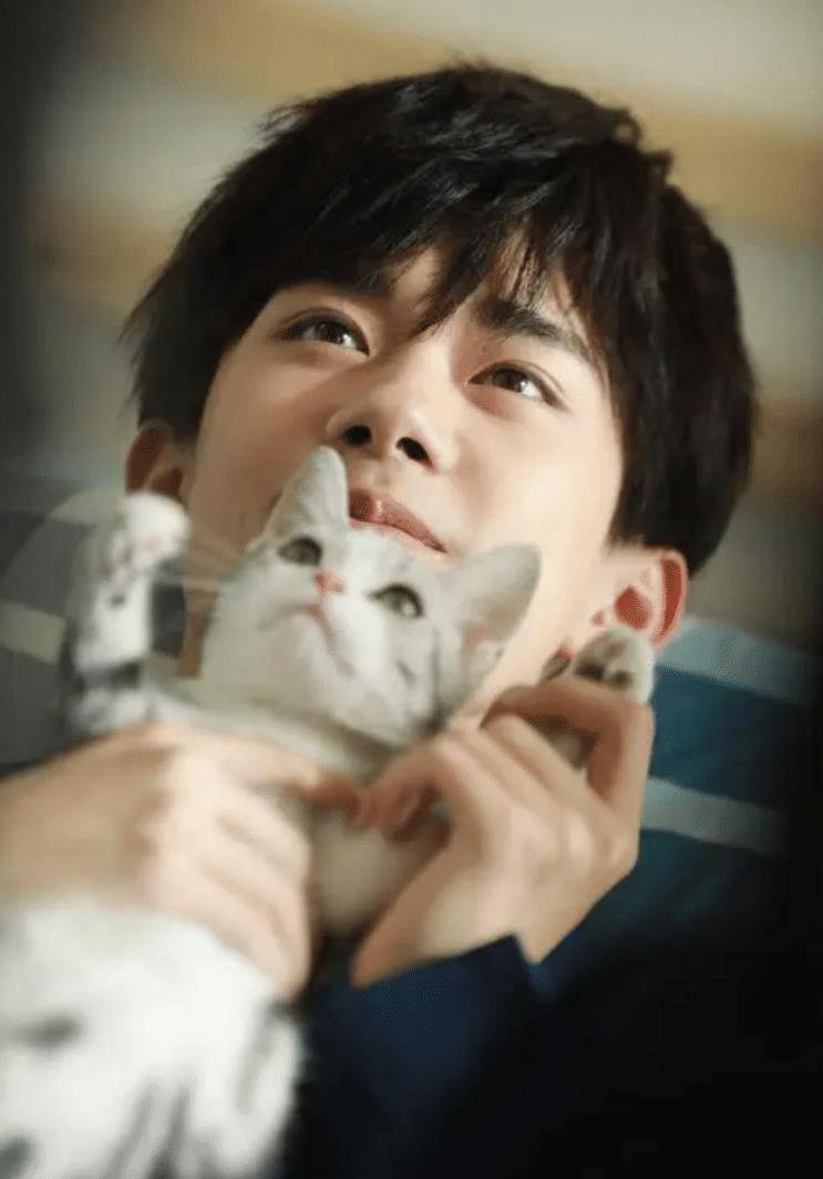 易烊千玺的电影为什么不上映 6791a1c33f824c928095e934986527cb.jpeg