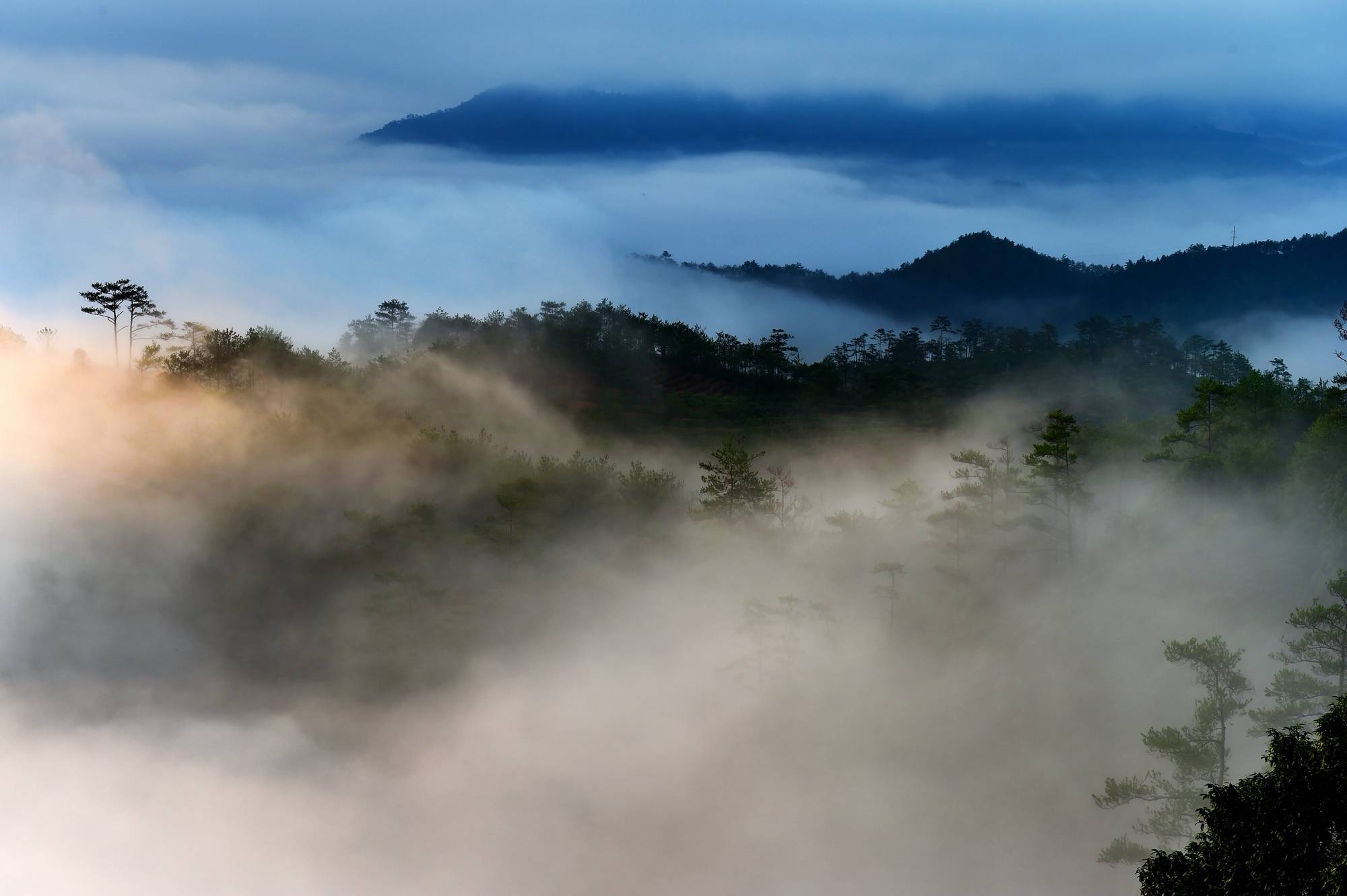 地方|云海翻腾武夷山