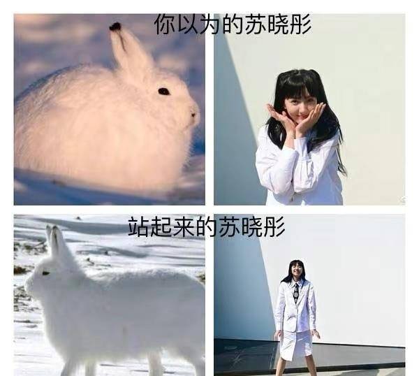 御姐看脸是“萌妹”,看身材是“御姐”,这3位女星的反差感太强了