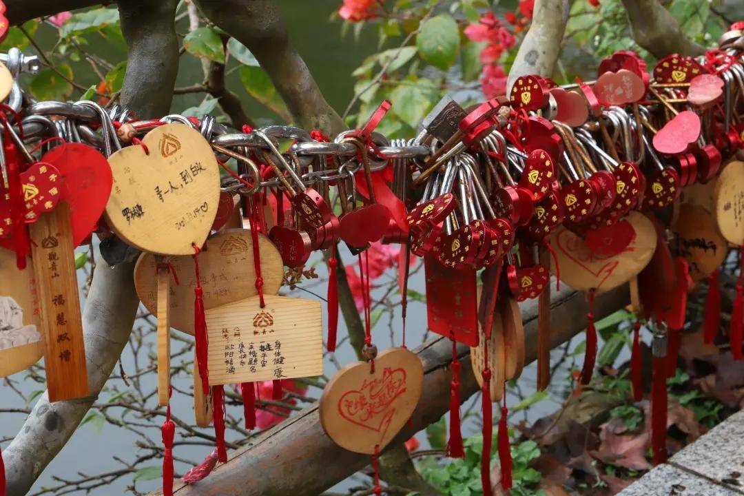 新春伊始求姻缘走桃花运从东莞观音山开始