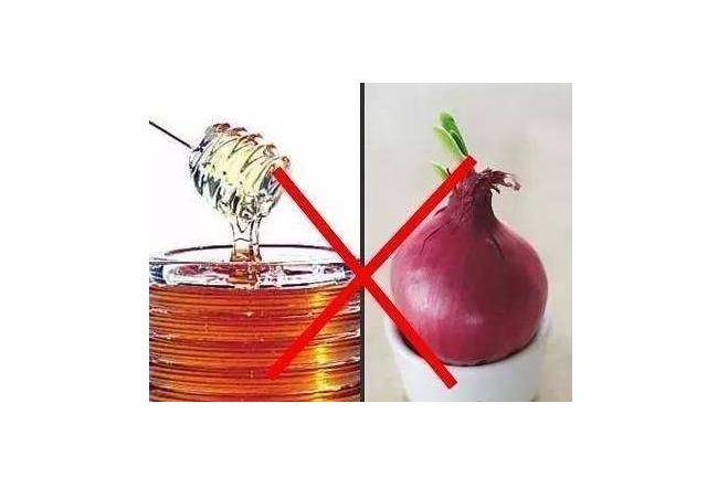 洋葱怎么做不伤胃 d189e89e5bec468c95b6a740861c510c.jpeg