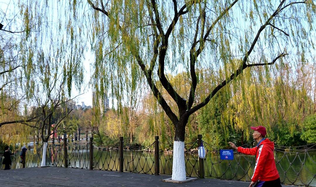 莲藕|糖尿病的“元凶”公布，并不是甜食，管不住嘴，再多胰岛素也没用