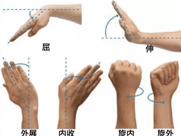 如何练习手指力量 646d98a70df14af0ac841c101ba70b54.png